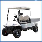 Xe golf điện 6 chỗ LVTONG LT-A627.6