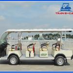 Xe golf điện 6 chỗ LVTONG LT-A627.6