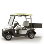 Xe golf điện 6 chỗ LVTONG LT-A627.6