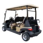 Xe golf điện 6 chỗ LVTONG LT-A627.6